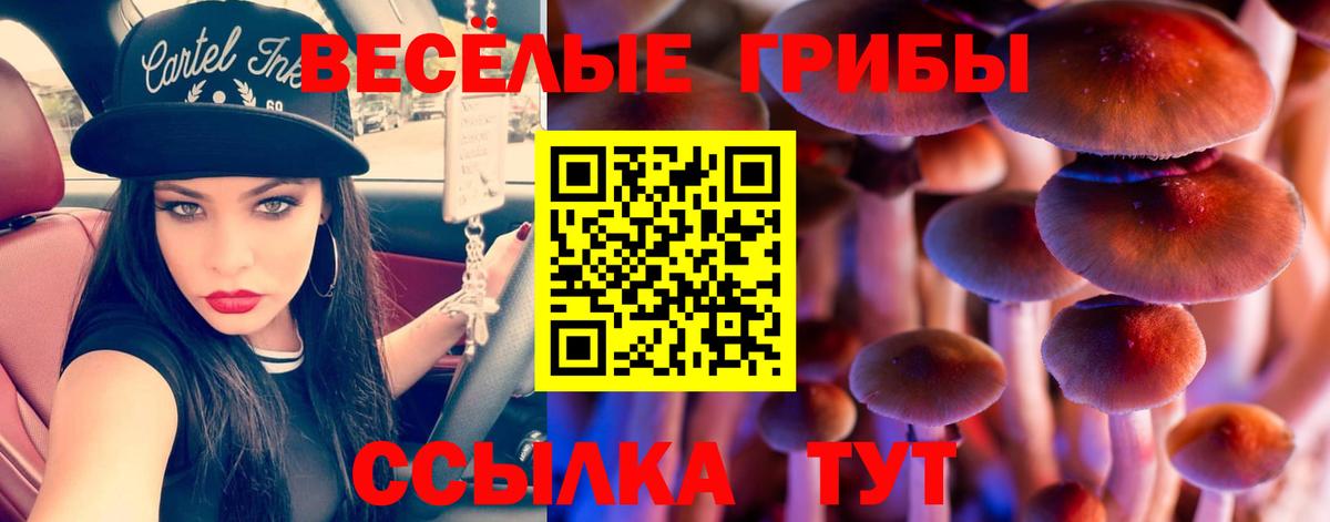 Галлюциногенные грибы мицелий Троицк